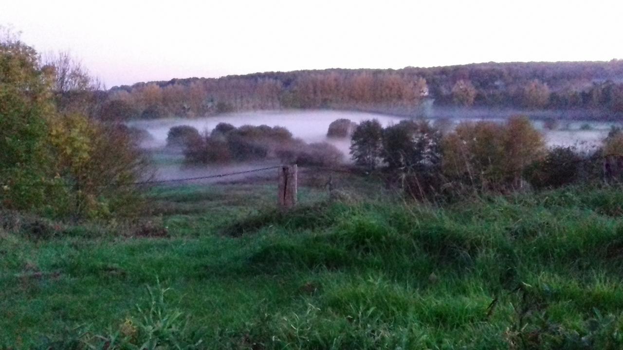 Manoir De La Chapelle Panzió Condé-sur-Sarthe Kültér fotó