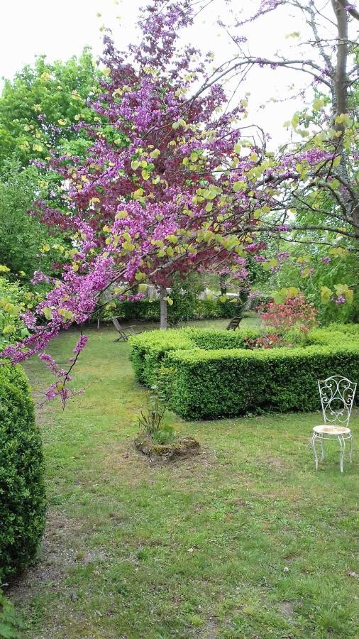 Manoir De La Chapelle Panzió Condé-sur-Sarthe Kültér fotó
